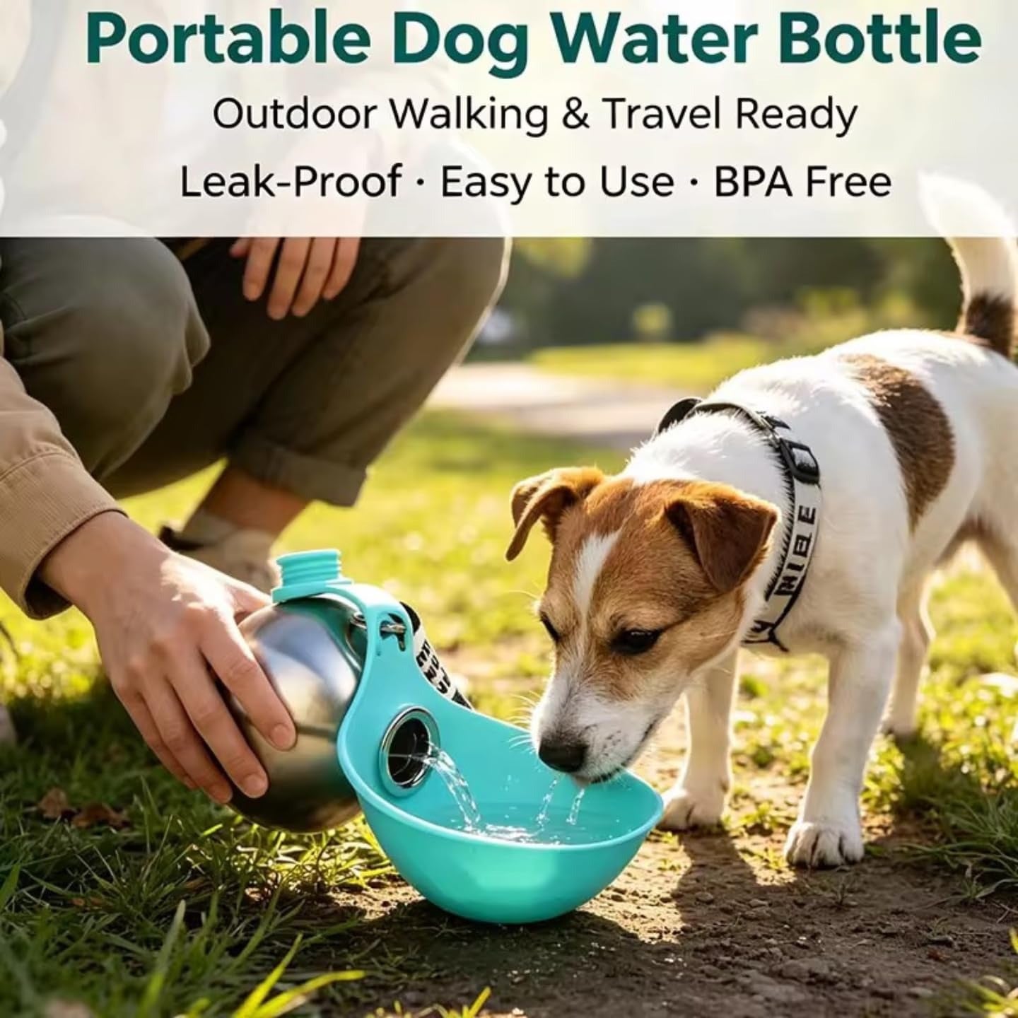 Portable Dog Water Bottle