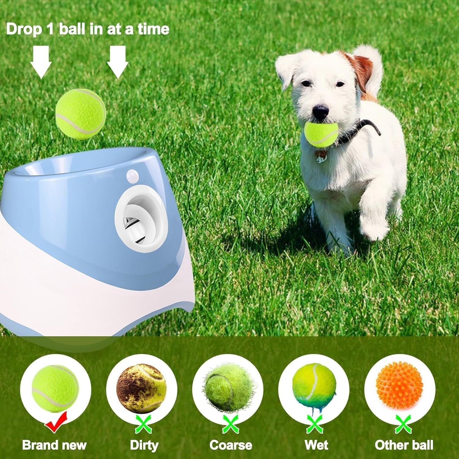 Automatic Dog Ball Launcher