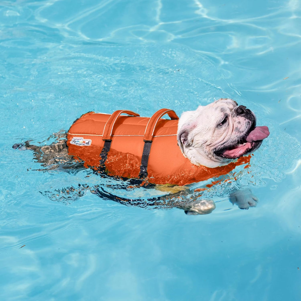 Outward Hound Dog Float Vest