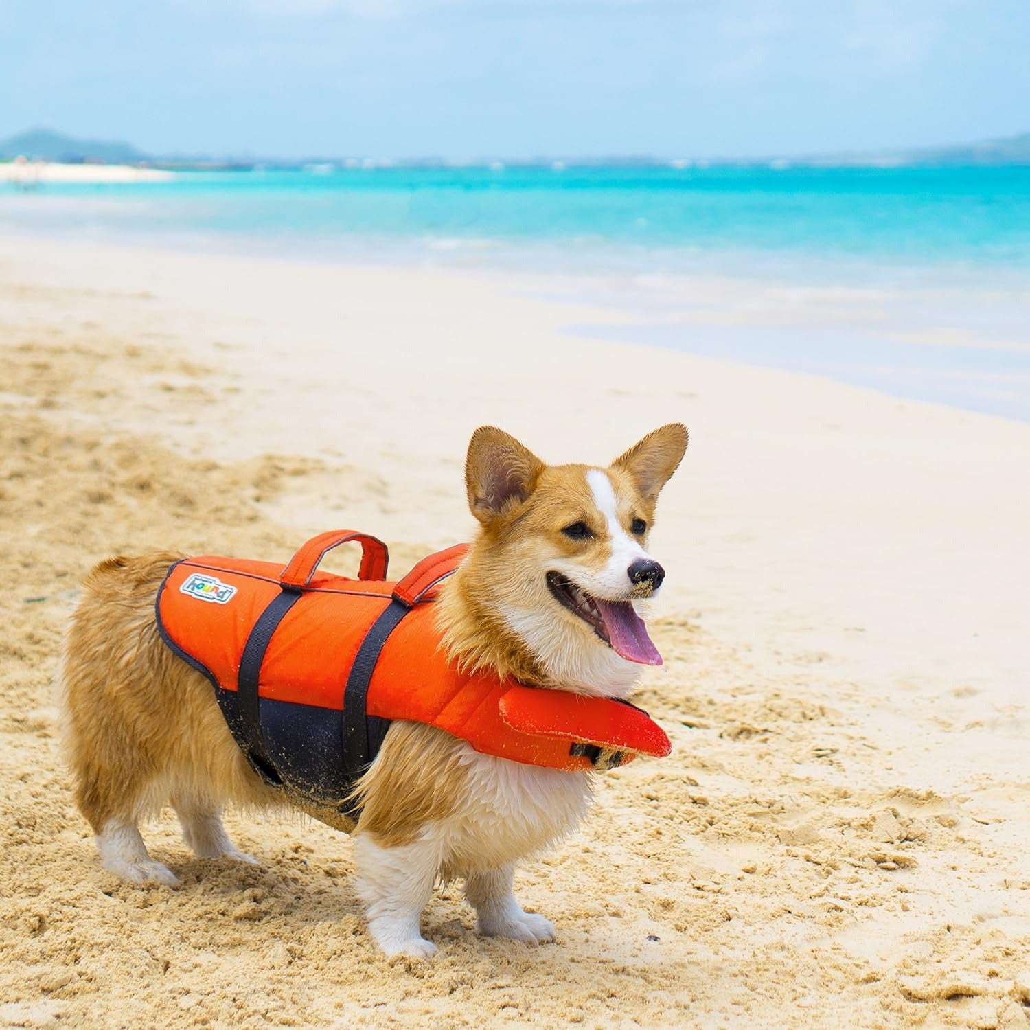 Outward Hound Dog Float Vest