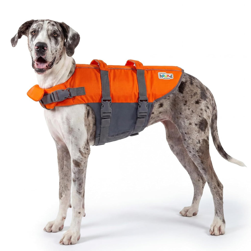 Outward Hound Dog Float Vest